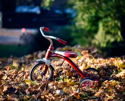 How to Choose Best Tricycle For Toddlers and Kids thumbnail