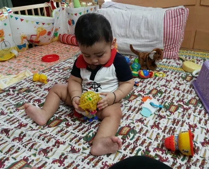 A Comprehensive Guide to Baby Developmental Milestones and Choosing the Right Toy thumbnail