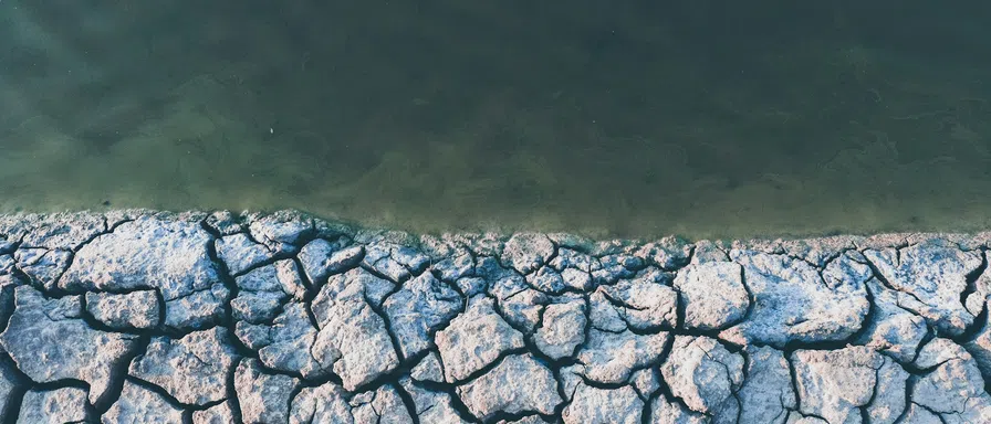 dry land