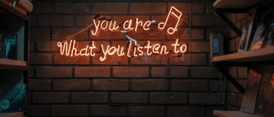music earphones