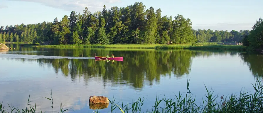 rowing